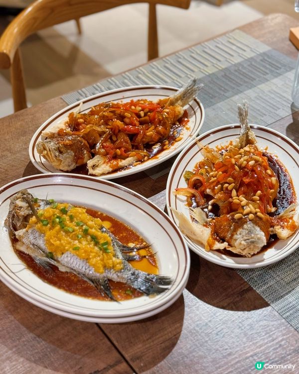 鰂魚涌社企有歌聽🥢😋松子魚好味道👅必點羊腩煲☺️💯