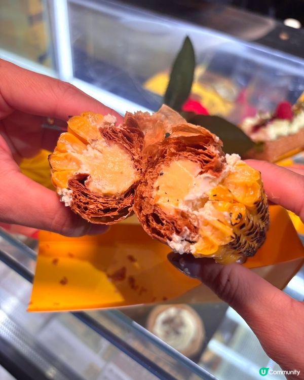 塔撻又出新野！