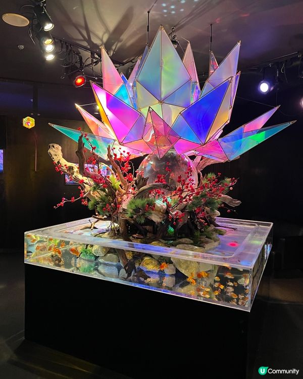 ［全🇯🇵最大］奈良金魚博物館🐠✨  4000條金魚打卡必去！