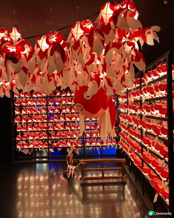 ［全🇯🇵最大］奈良金魚博物館🐠✨  4000條金魚打卡必去！