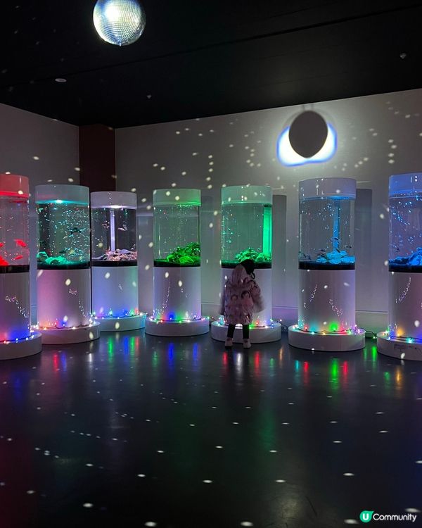 ［全🇯🇵最大］奈良金魚博物館🐠✨  4000條金魚打卡必去！