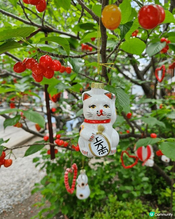 東京近淺草區嘅貓腎石真係好多貓貓呀 又可以抽籤抽貓貓吊飾 又...