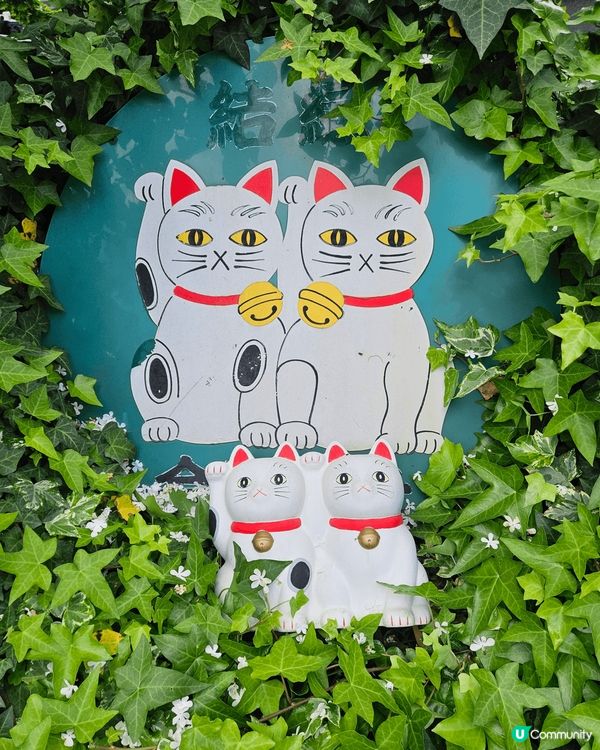 東京近淺草區嘅貓腎石真係好多貓貓呀 又可以抽籤抽貓貓吊飾 又...