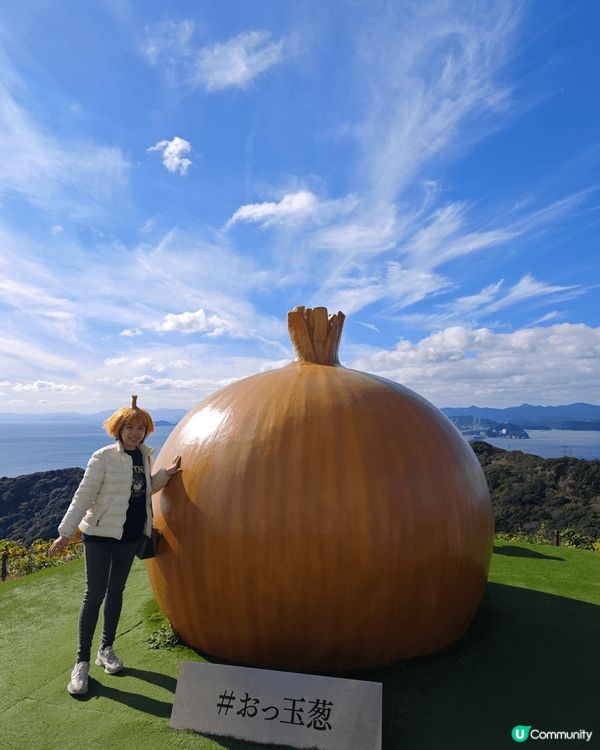 由細到大都不喜歡吃洋葱, 童年時因為漢堡飽有洋葱也不吃. 去...