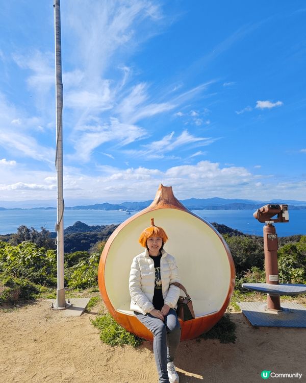 由細到大都不喜歡吃洋葱, 童年時因為漢堡飽有洋葱也不吃. 去...