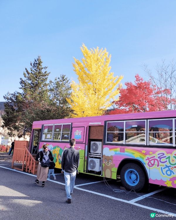 有紅葉，杏仁葉，普通葉。