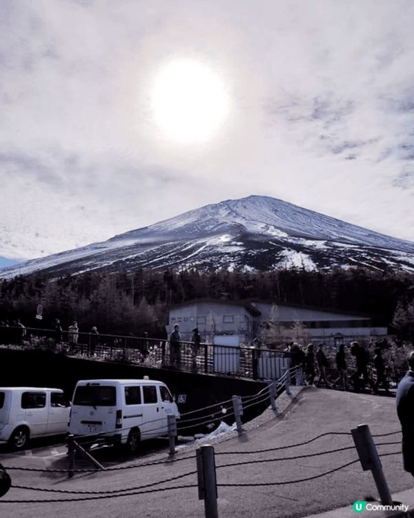 有紅葉，杏仁葉，普通葉。