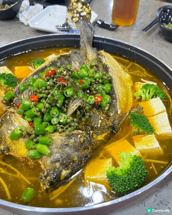 爺爺雞煲好味😋又可以烤魚又可以雞煲！仲有新鮮既牛吊龍 出色...