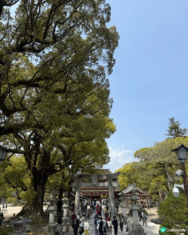 太宰府必吃士多啤梨糯米糍，每個遊客嚟到都一定會會俾佢嘅外表吸...