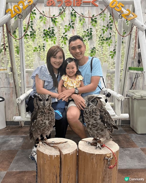 東京之旅帶咗小朋友去雞頭鷹Cafe，可以摸同餵唔同種類嘅貓頭...