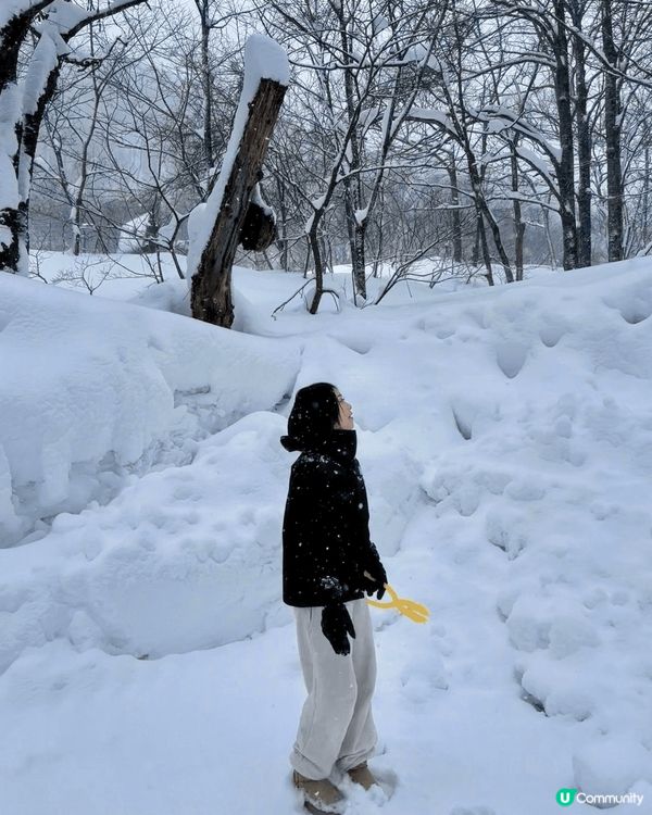 越後湯澤是日本新潟縣的著名溫泉鄉，以優質溫泉、滑雪勝地及清酒...