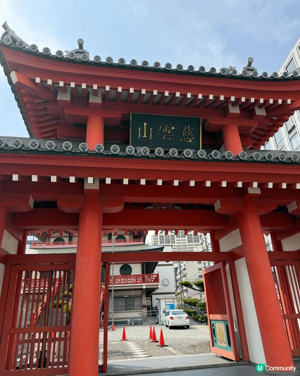 三月份嘅大阪之旅😻除咗去咗睇櫻花仲食咗好多唔同嘅日本美食，好...