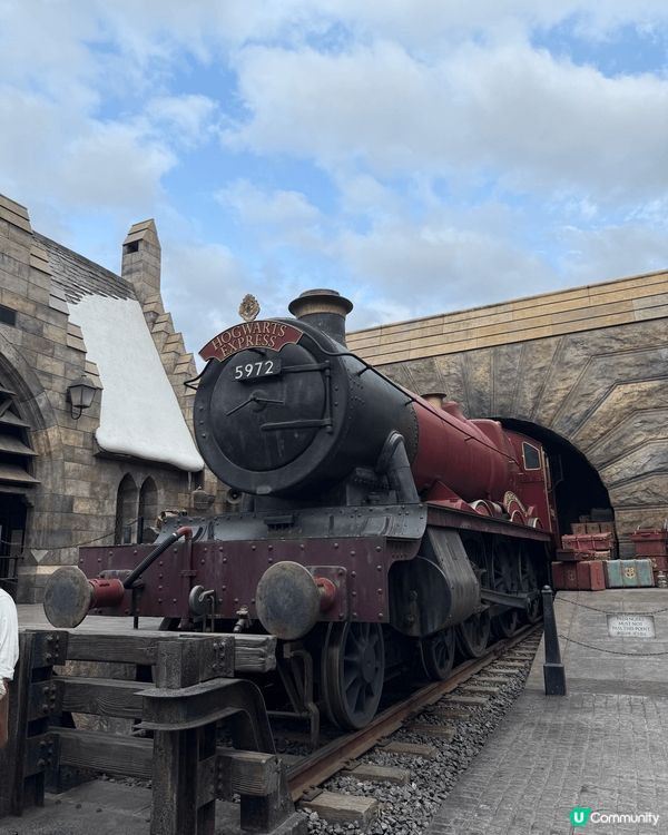 三月份嘅大阪之旅😻除咗去咗睇櫻花仲食咗好多唔同嘅日本美食，好...