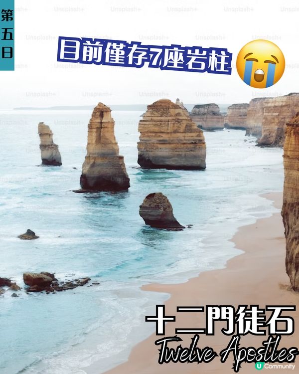 J人帶你七日六夜玩轉悉尼墨爾本✨企鵝歸巢/十二門徒石/手抱樹熊 附悉尼歌劇院黃金打卡位