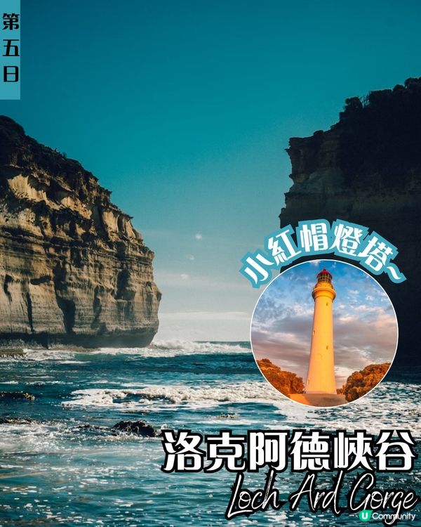 J人帶你七日六夜玩轉悉尼墨爾本✨企鵝歸巢/十二門徒石/手抱樹熊 附悉尼歌劇院黃金打卡位