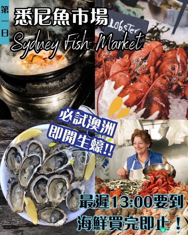 J人帶你七日六夜玩轉悉尼墨爾本✨企鵝歸巢/十二門徒石/手抱樹熊 附悉尼歌劇院黃金打卡位