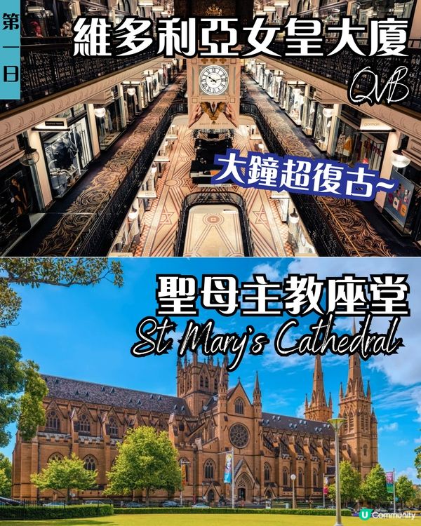 J人帶你七日六夜玩轉悉尼墨爾本✨企鵝歸巢/十二門徒石/手抱樹熊 附悉尼歌劇院黃金打卡位