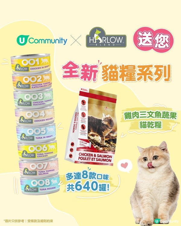 【招募試食員🐱】送Harlow Blend全新貓糧系列！