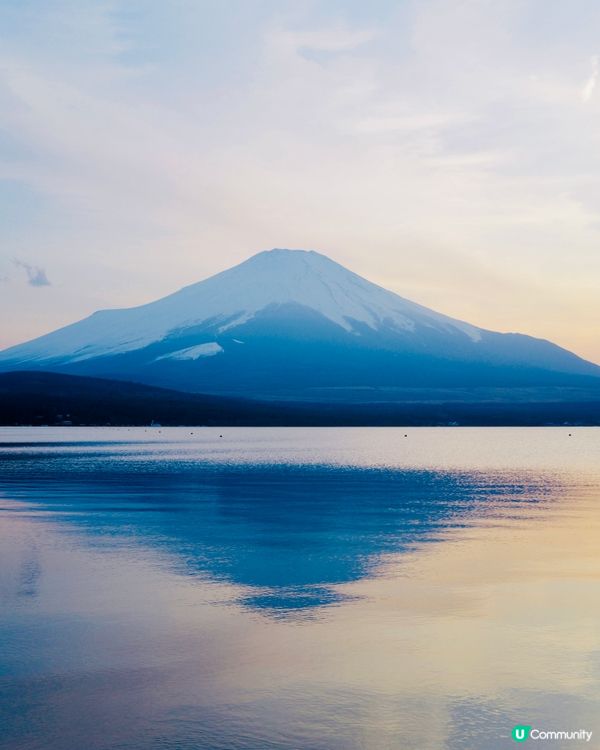 2025親子自駕遊｜富士山打卡聖地山中湖 🗻 白鳥之湖 🦢