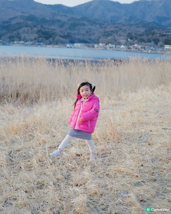 2025親子自駕遊｜富士山打卡聖地山中湖 🗻 白鳥之湖 🦢