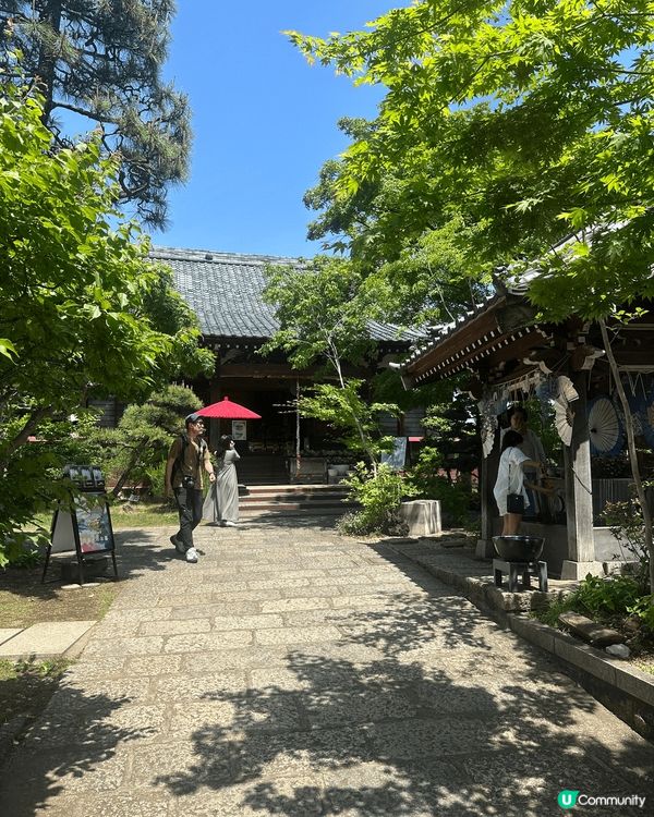 📍東京必訪！日本最美御朱印×花手水聖地——法輪寺🫧🌸✨...