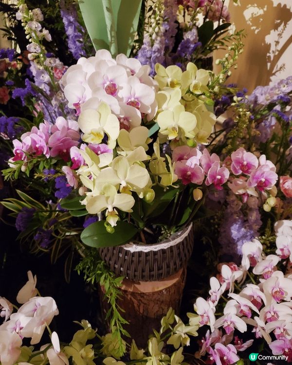 《母親節打卡必推 : 半島酒店大堂》