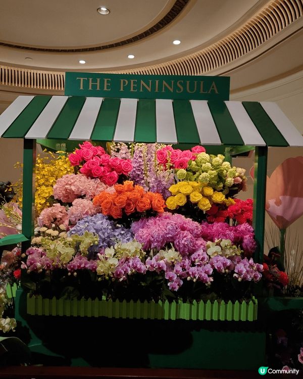 《母親節打卡必推 : 半島酒店大堂》