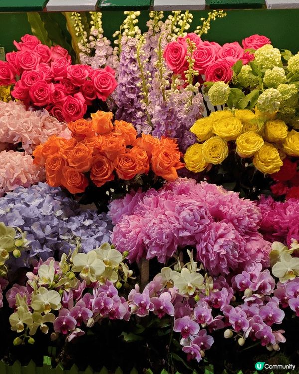 《母親節打卡必推 : 半島酒店大堂》