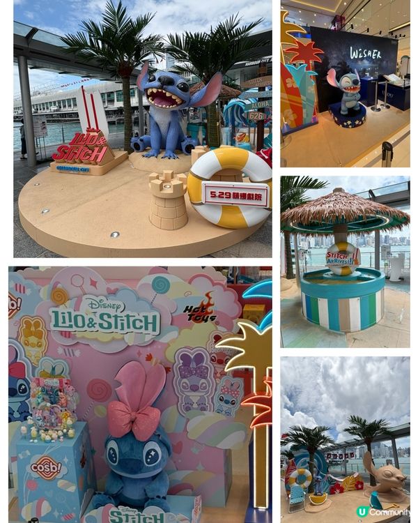 海港城有史迪仔🏖️  影相打卡啦！