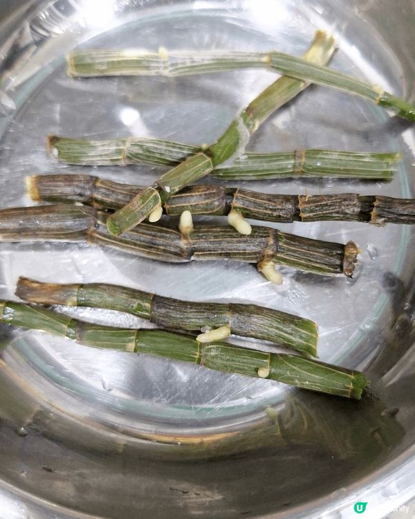 身體護理可以選擇天然產品，自己做其實好簡單，天然又知道自己需...