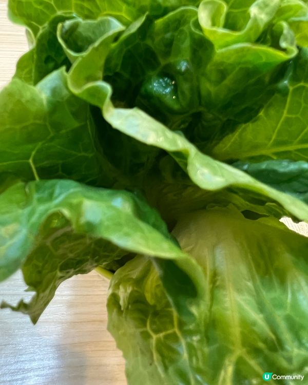  必吃 🍍 菠蘿 🦐 海鮮 🦑 炒飯 🍚