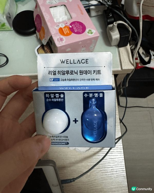 Wellage 近期最Hit嘅韓國品牌