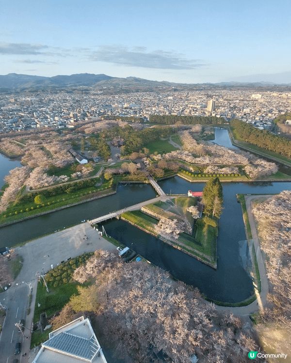 五月的北海道都太美了吧～櫻花季節，配上黃昏同夜燈，大推！