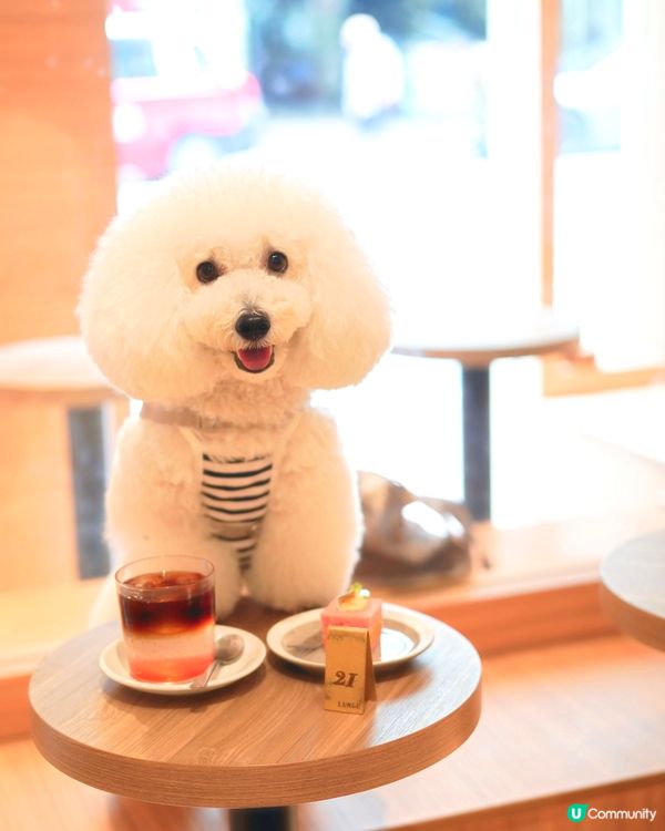 最新聯乘Lungo x 嘉頓麵包 玫瑰荔枝限定