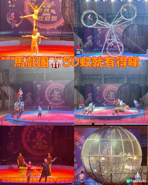 馬戲團🎪50蚊就有得睇