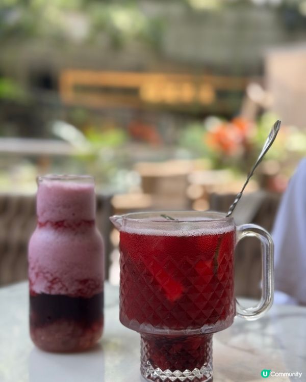 深圳探店 ｜ Tree-Co樹岸