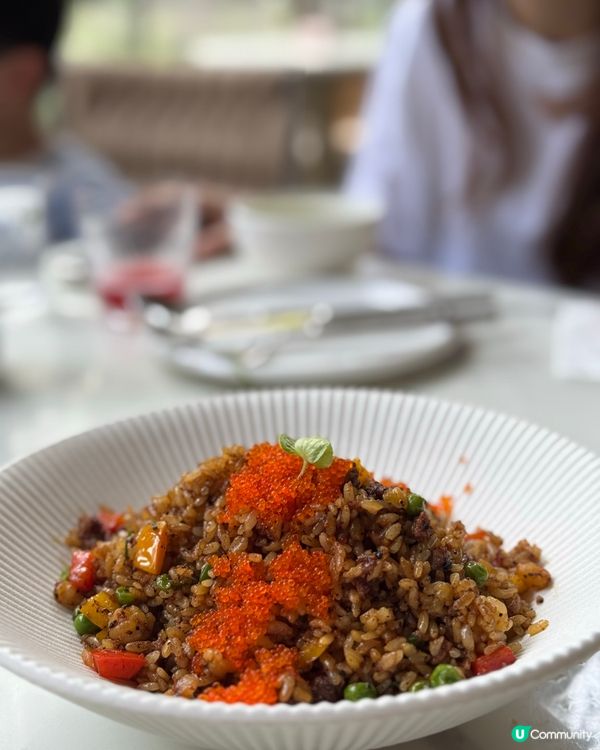 深圳探店 ｜ Tree-Co樹岸