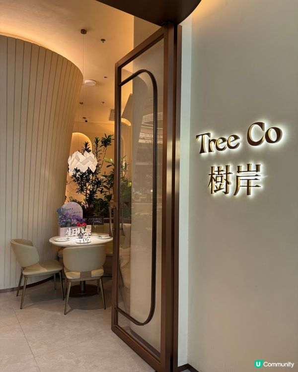 深圳探店 ｜ Tree-Co樹岸