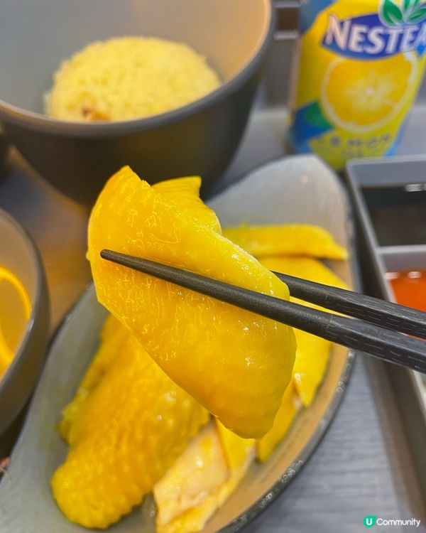 人氣海南雞店～全日雞實驗所