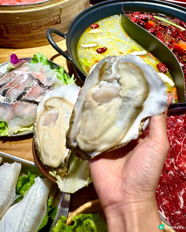 【🥘深圳新店火鍋.地道平民自助】