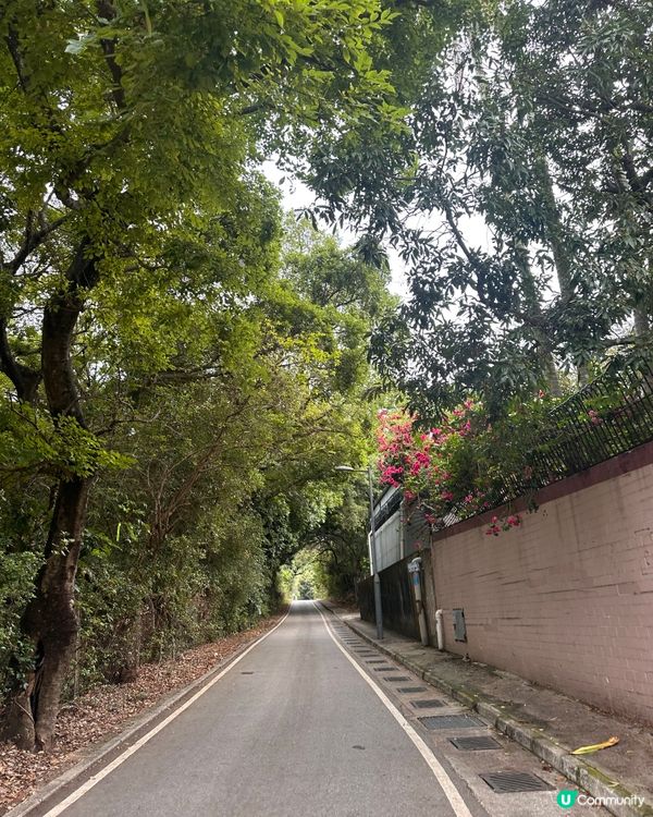 上水古洞水塘 - 隱世打卡心形湖🩵