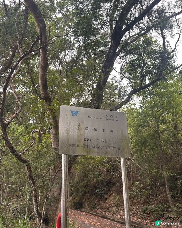 上水古洞水塘 - 隱世打卡心形湖🩵