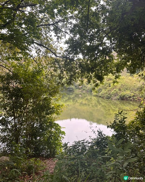 上水古洞水塘 - 隱世打卡心形湖🩵