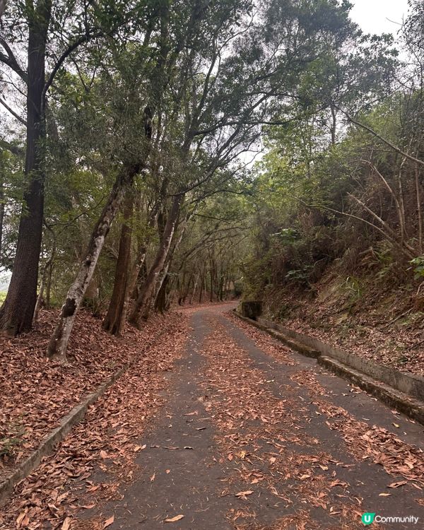 上水古洞水塘 - 隱世打卡心形湖🩵