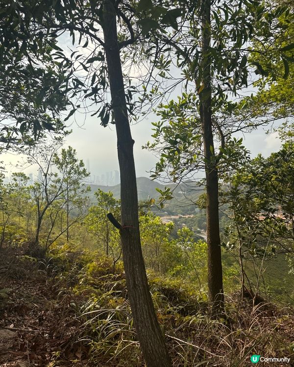 上水古洞水塘 - 隱世打卡心形湖🩵