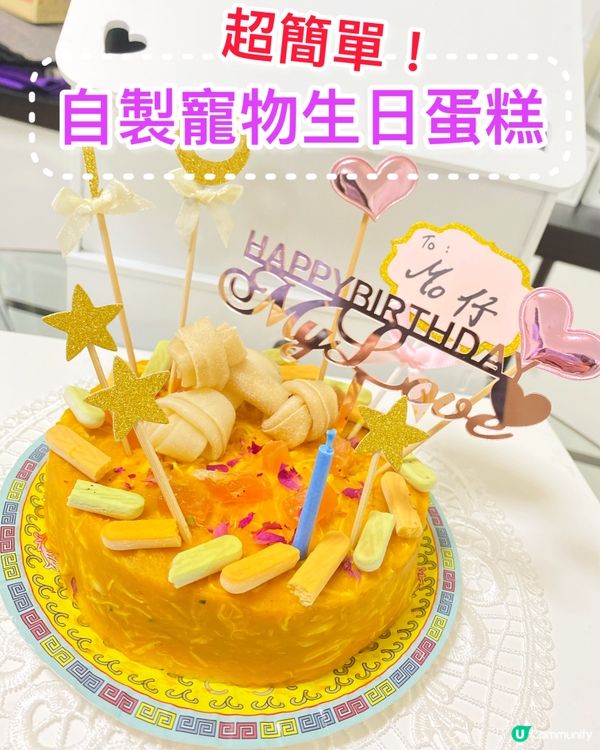 🎊🧁🎂《🐶自製寵物生日蛋糕 》🎂🧁🎊