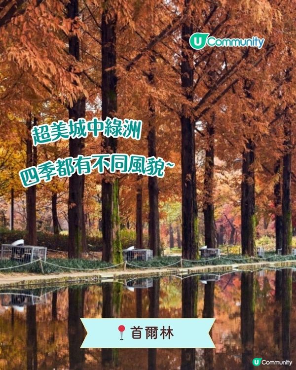 必食必買🛍️！首爾聖水洞景點攻略 |必買人氣手信／潮流文創Cafe✈️