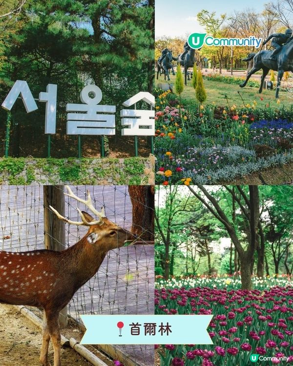 必食必買🛍️！首爾聖水洞景點攻略 |必買人氣手信／潮流文創Cafe✈️