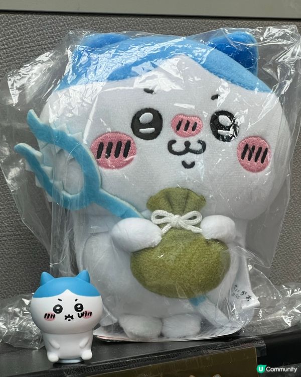 小八真係好可愛呀😍!