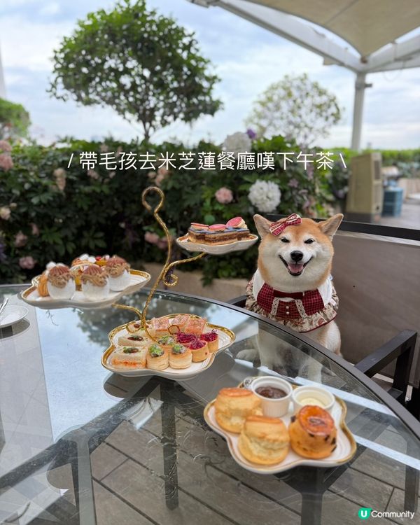 今次約埋朋友仔去嘆米芝蓮一星餐廳既下午茶☕️